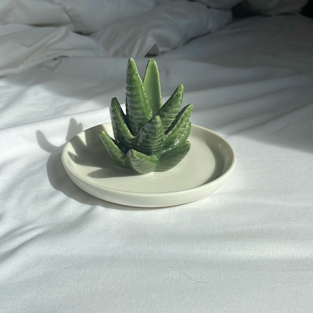 plant jewelry holder🌱